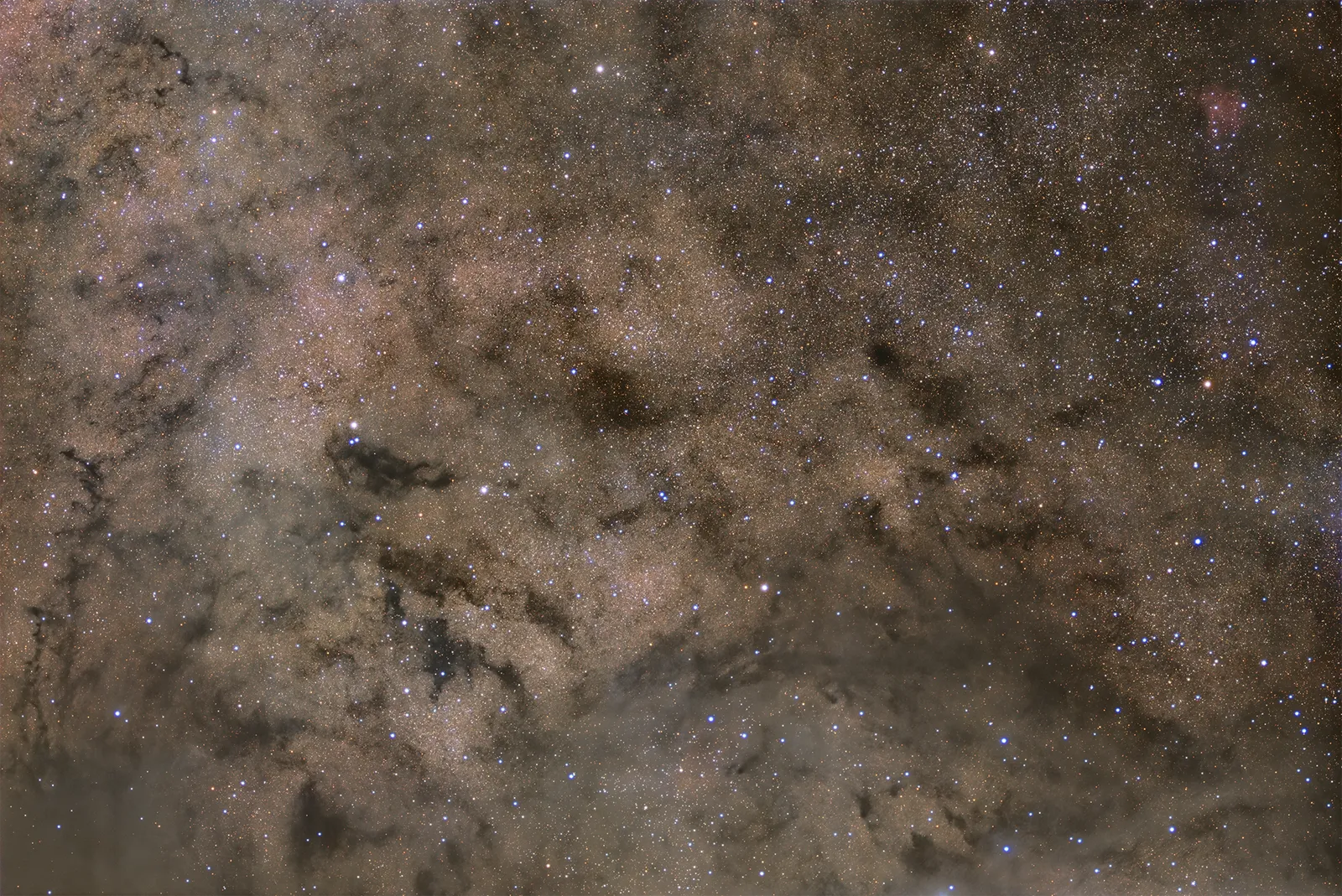 LDN 541, a dark nebula in Cepheus, seen as dense dust lanes threading a rich star field