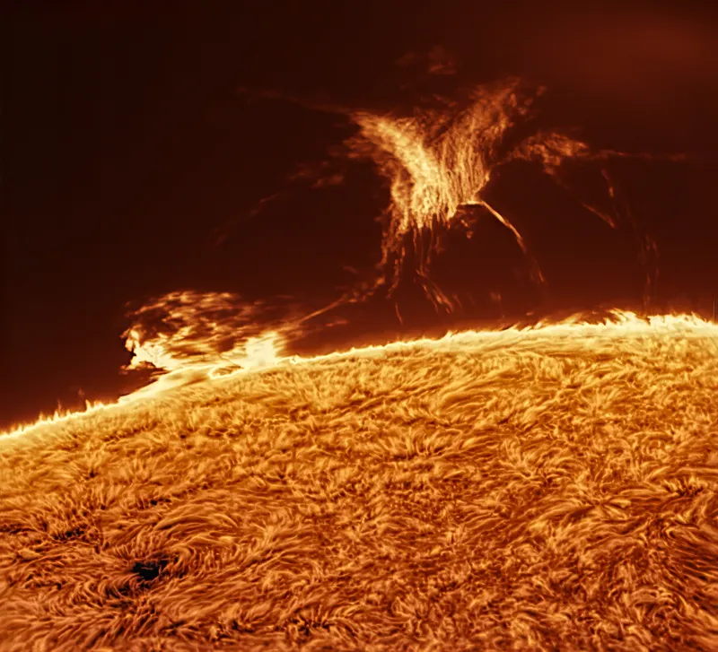 A hydrogen-alpha close-up of a solar prominence