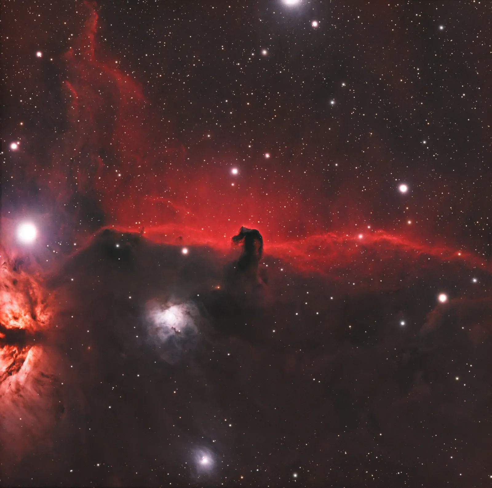The Horsehead Nebula silhouetted against a bright red emission nebula in Orion, with the Flame Nebula nearby